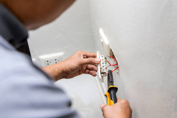 Best Electric Panel Repair  in Waupaca, WI